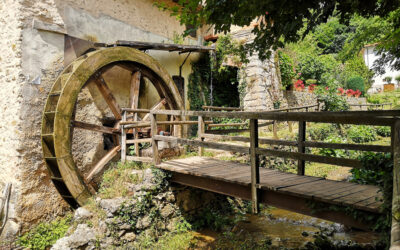 Passeggiata sui Colli Berici