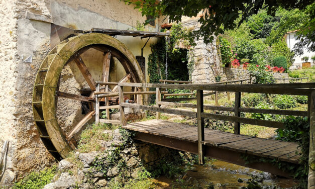 Passeggiata sui Colli Berici